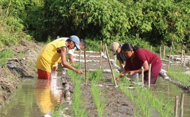 ANJ Raih Penghargaan Anugerah Inovasi Indonesia