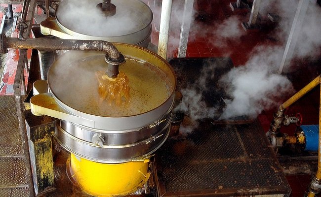 Berikut Prediksi Produksi Minyak Sawit Malaysia 2022