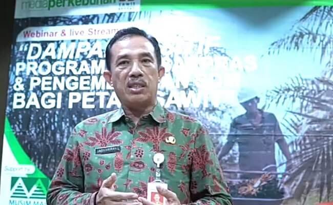 Hanya 15% Petani Sawit di Jambi Nikmati Harga TBS Sawit Diatas Rp 2.000/Kg