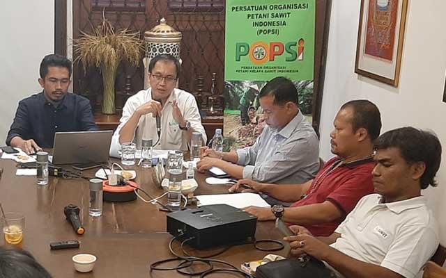 Harga TBS Sawit Belum Naik Signifikan, Perlu Restrukturisasi PE, BK, dan DMO (FO)