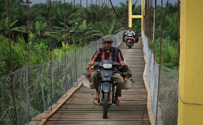 Harga TBS Sawit Jambi Periode 12-18 Agustus 2022 Naik Rp 119,75/Kg, Berikut Harganya..