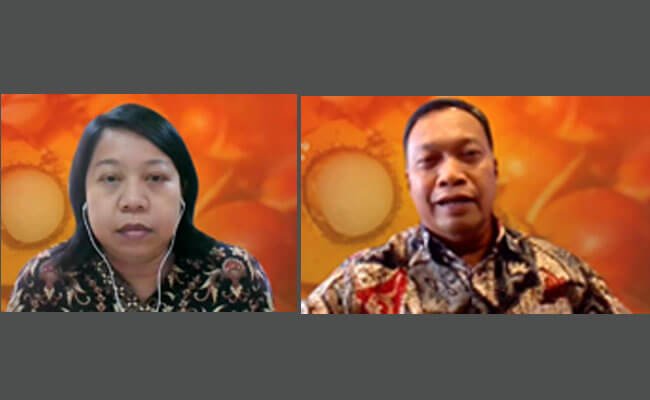 LPEM UI: Bila DMO Sawit Dicabut, Ekspor Berpotensi Meningkat Harga TBS Sawit Melonjak