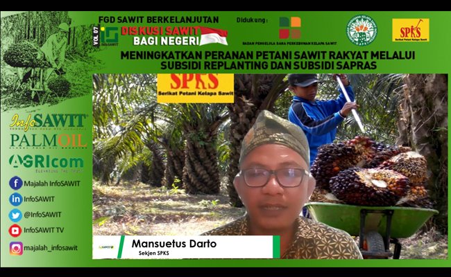 Petani Sawit Dukung Kejaksaan Agung Tindak Pelaku Deforestasi Ilegal