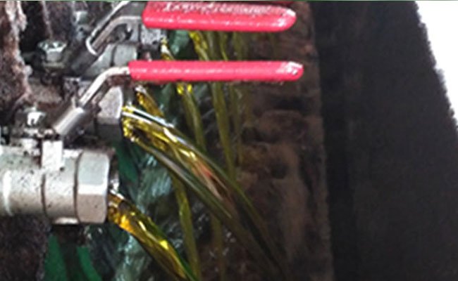 Reli Kebijakan Sawit Atasi Harga Migor Sawit Melangit