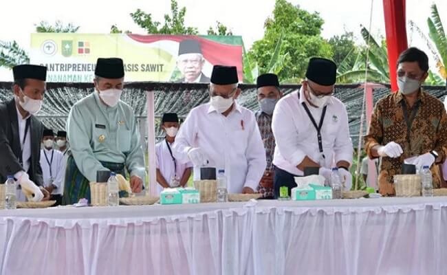 Wapres K.H. Ma’ruf Amin Hadiri Penanaman Kecambah Sawit Bersama 100 Santri 