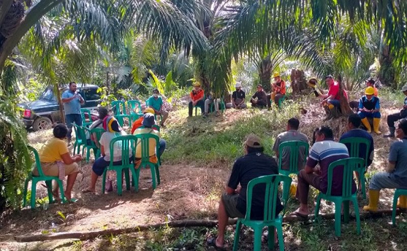 Aturan No Deforestasi EU Segera Disahkan, Sejumlah LSM dan Organisasi Petani Tuntut Kejelasan Dukungan Kemitraan Untuk Petani Sawit