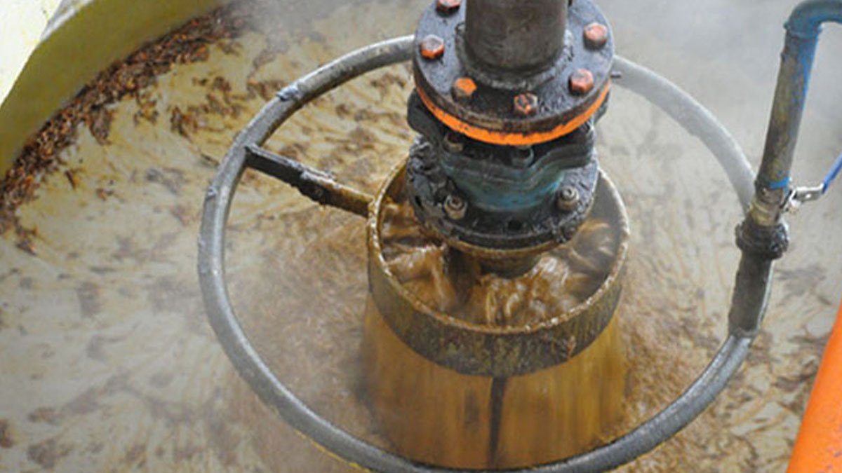 Dari Dapur hingga Kamar Mandi, Sawit Hadir di Banyak Produk Harian