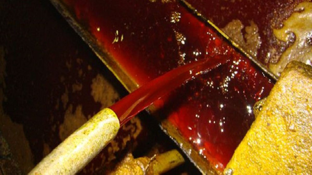 Maybank IB: Harga CPO 2026 Diprediksi Stabil di RM4.100, Isu B50 Indonesia Jadi Isyarat