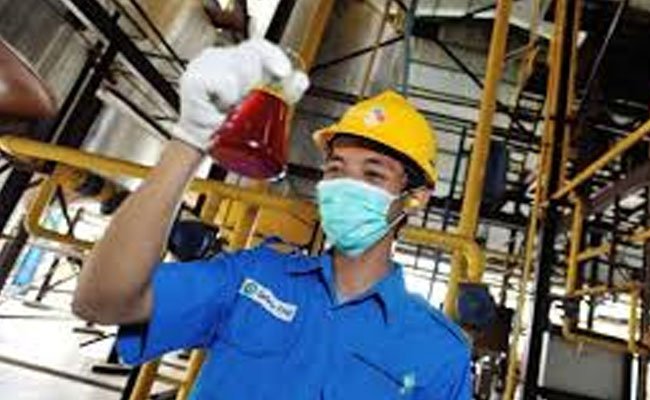 Ditopang Kenaikan Harga CPO, Laba DSNG Semester I 2022 Naik 119%