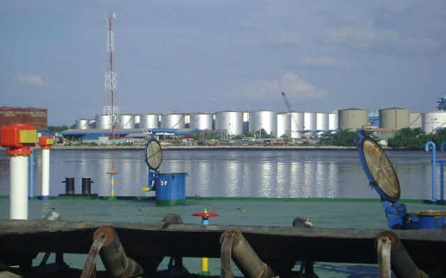 Harga Minyak Sawit Di Bursa Malaysia Naik 4%, Pembeli Asia Meningkat