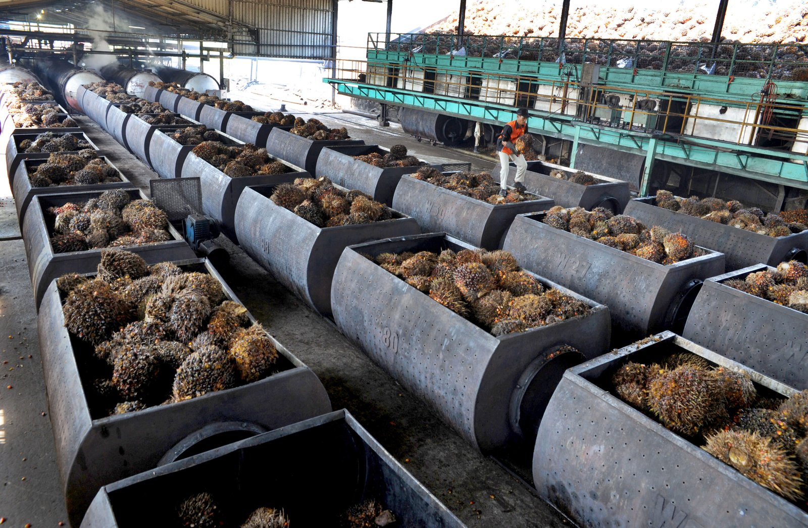 Harga TBS Sawit Bengkulu Periode II-Juli 2022 Ditetapkan Tertinggi Rp 1.158,56/Kg