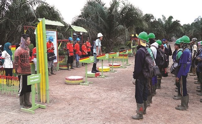 Mengenal Kerja 4 AS, Sebagai Planter sawit