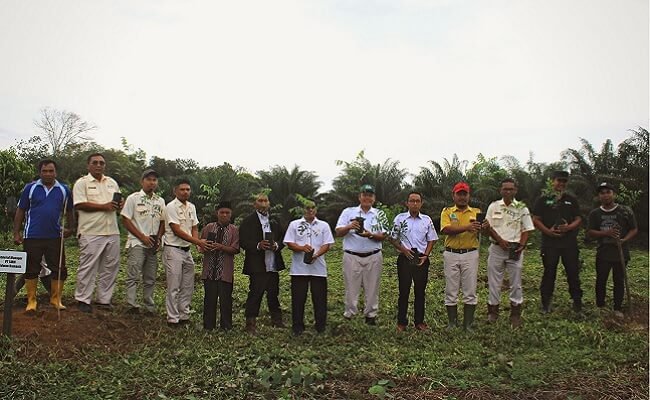 Perusahaan Sawit SMM Tanam Jenis Tanaman Lokal Belitung di Areal Konservasi
