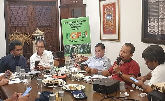 Supaya Harga TBS Sawit Naik, Ini 2 Usulan dari Jaringan Petani Sawit Nasional