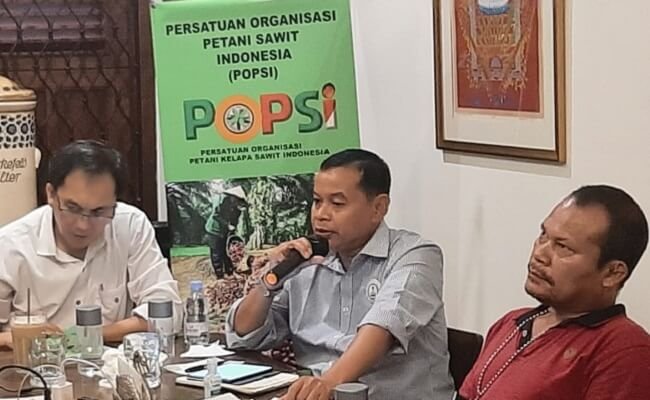 Supaya Tak Pengaruhi Harga CPO, Ekspor Minyak Sawit Musti Dilakukan Bertahap