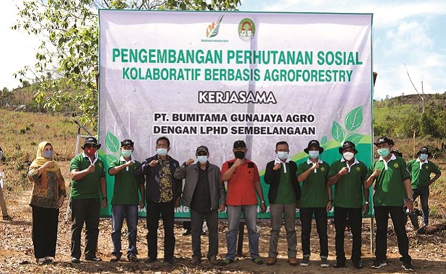 Ajak Masyarakat Kembalikan Fungsi Hutan, Lewat Menanam Tanaman Bermanfaat
