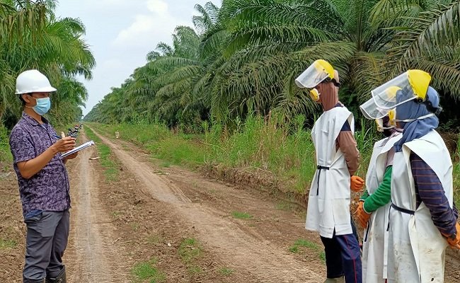 Basic Managing Team & Coaching Counselling for Planters