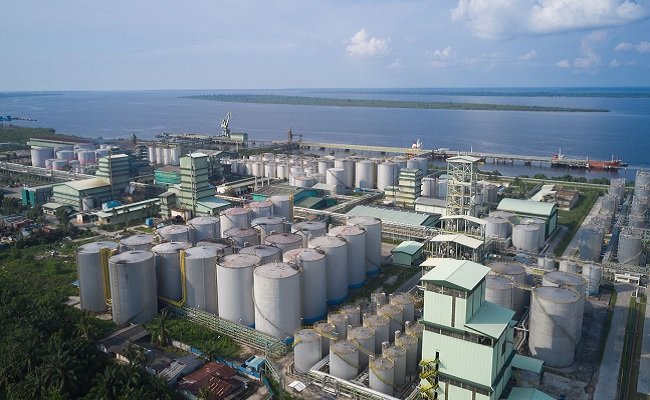 Apical Peroleh Sustainability Linked Loan Senilai US$ 750 Juta