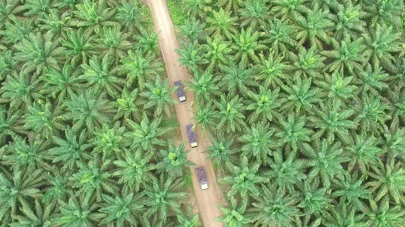 GAR Catatkan Kinerja Biru pada Semester Pertama 2024, Meningkatkan Pendapatan dan Ekspansi Volume Penjualan